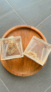 CLUTCH SMALL